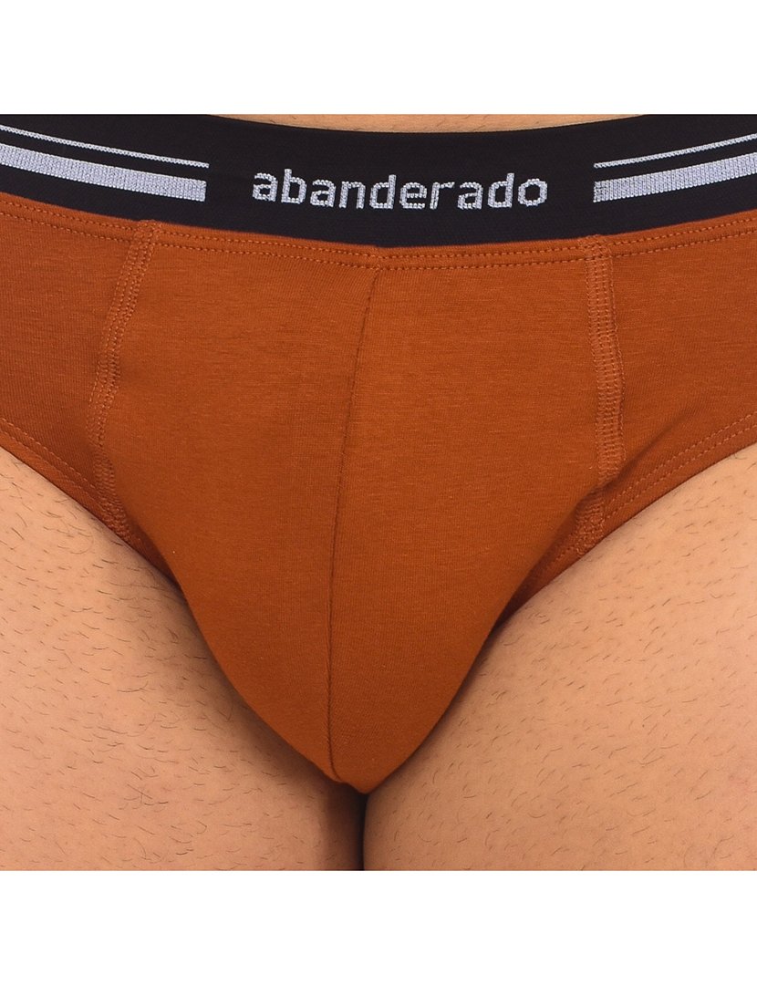 Slips Castanho Claro