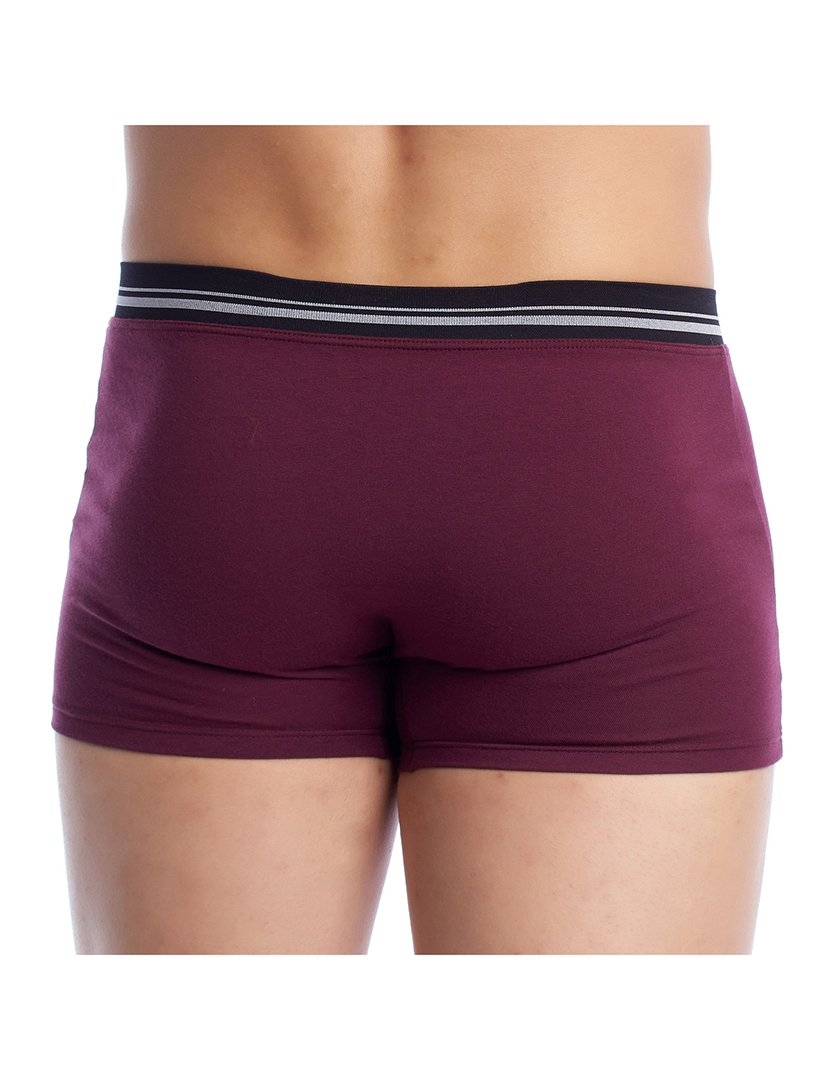 Boxer Bordô