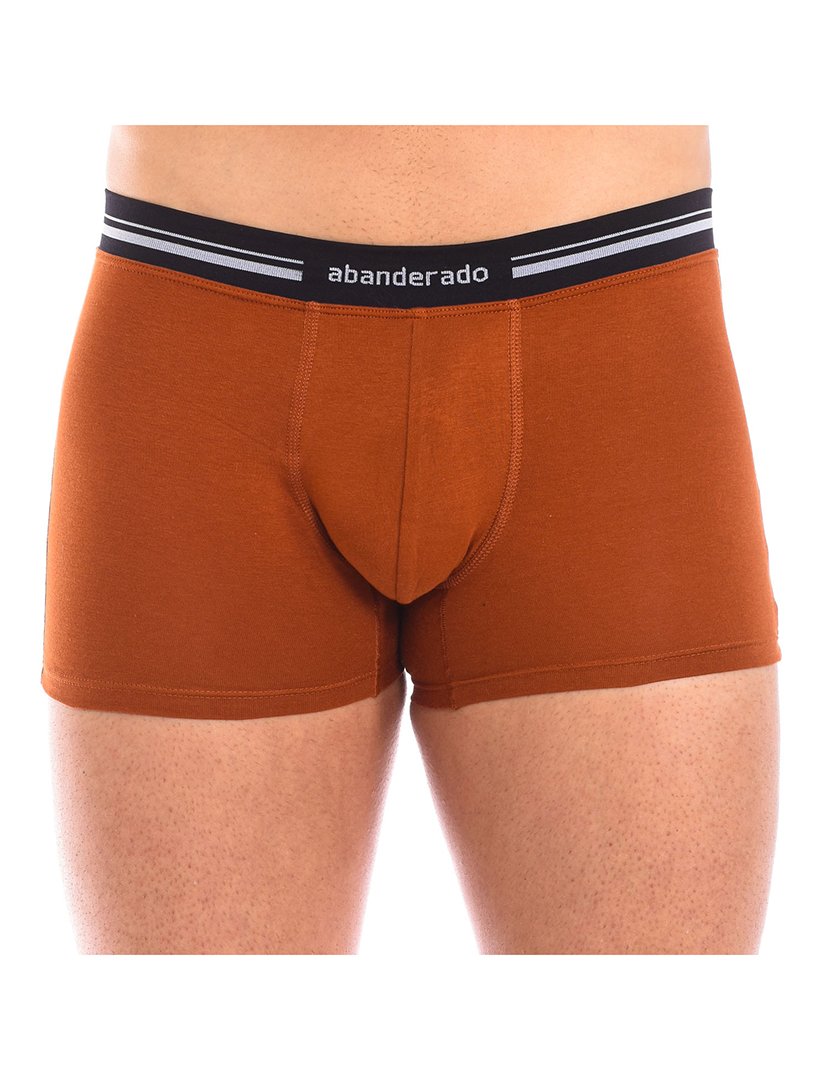 Boxer Castanho Claro