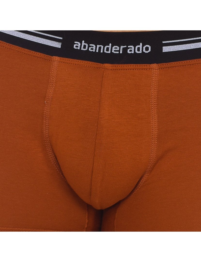 Boxer Castanho Claro