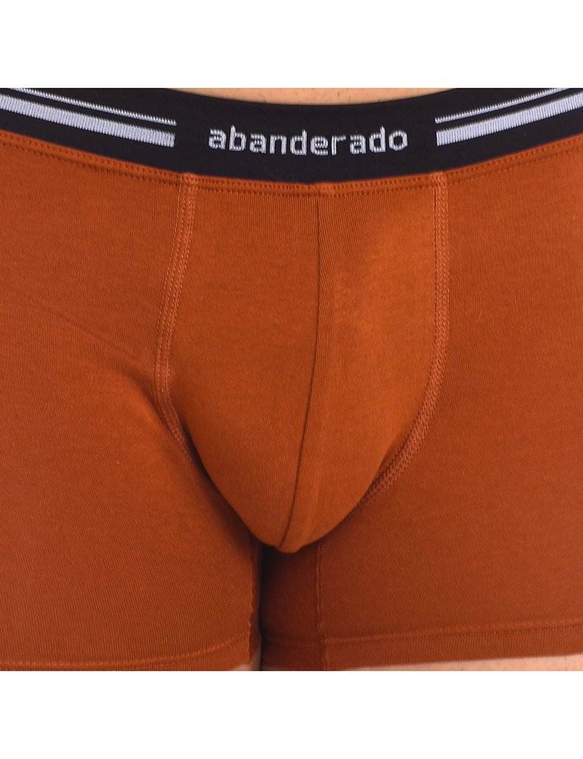 Boxer Castanho Claro