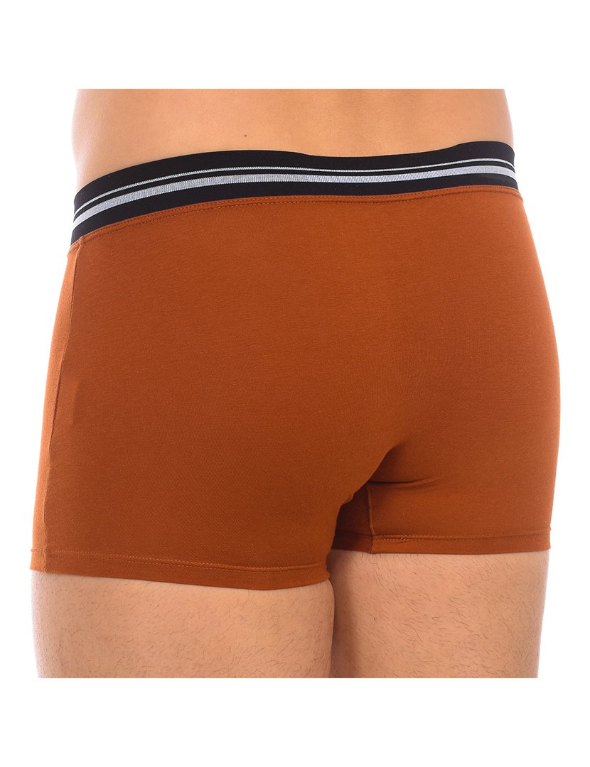 Boxer Castanho Claro