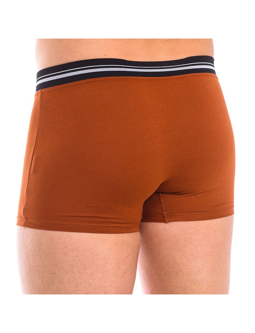 Boxer Castanho Claro