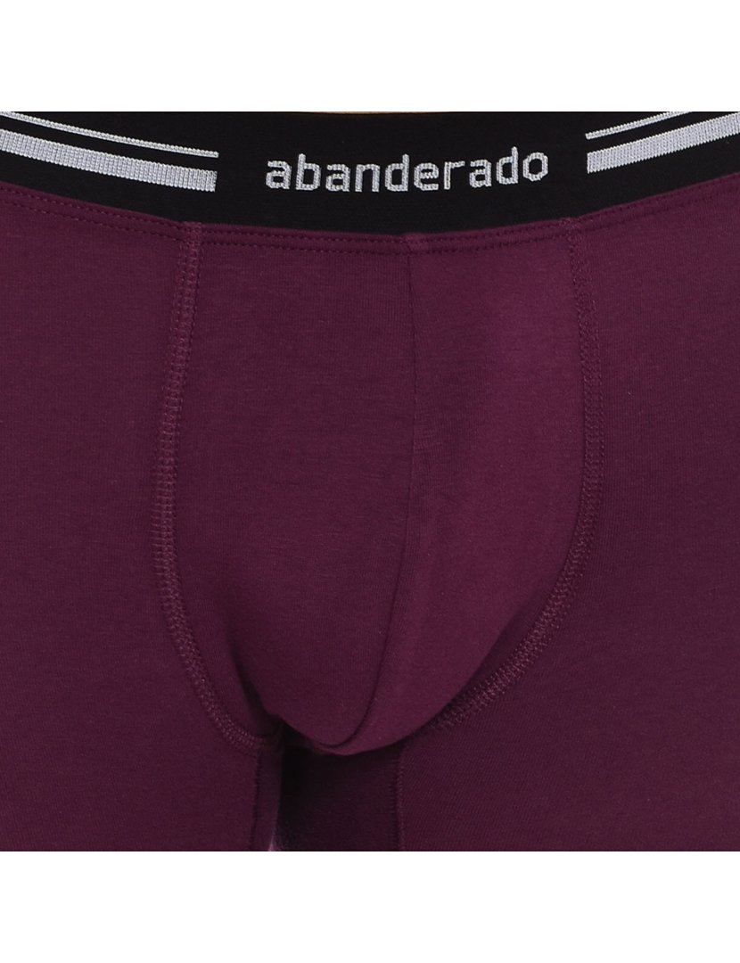 Boxer Roxo