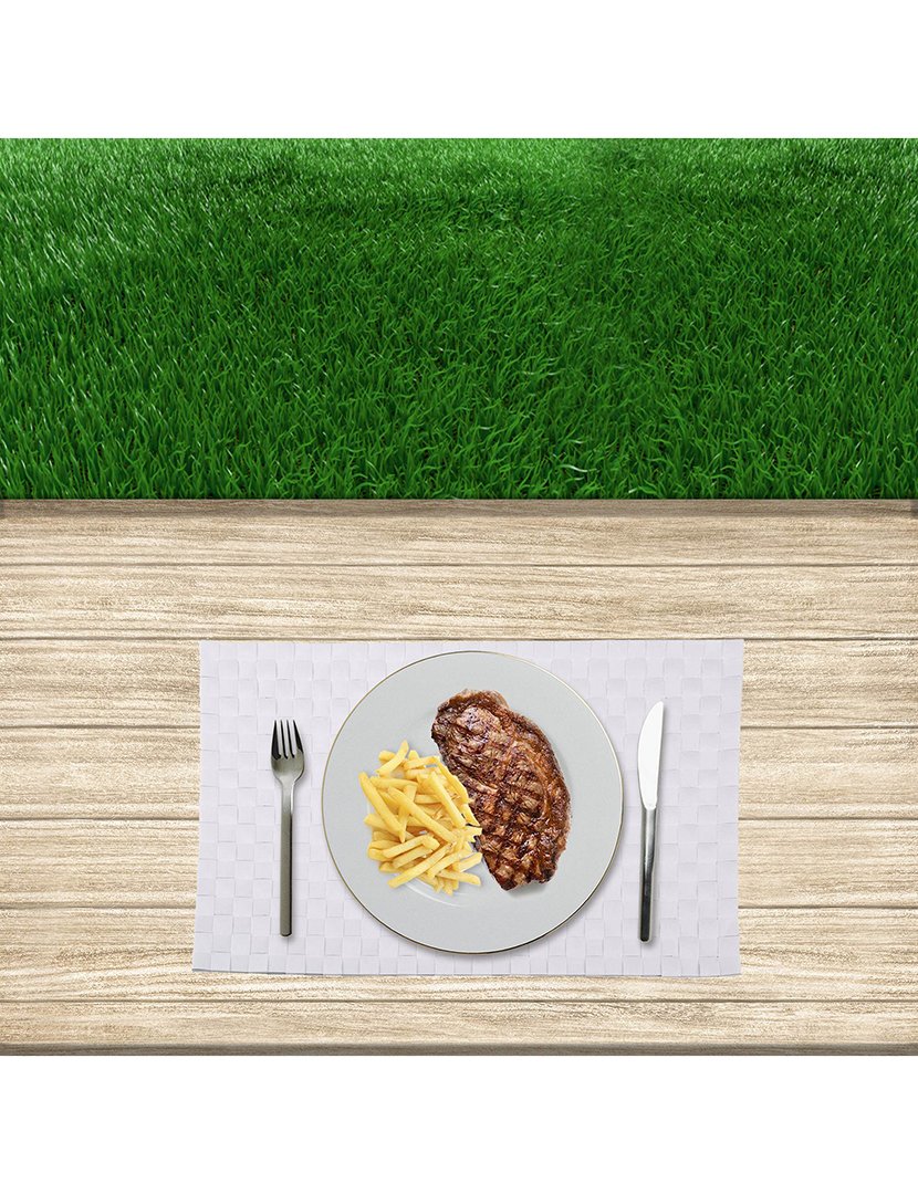 Mantel Individual 30x45 cm