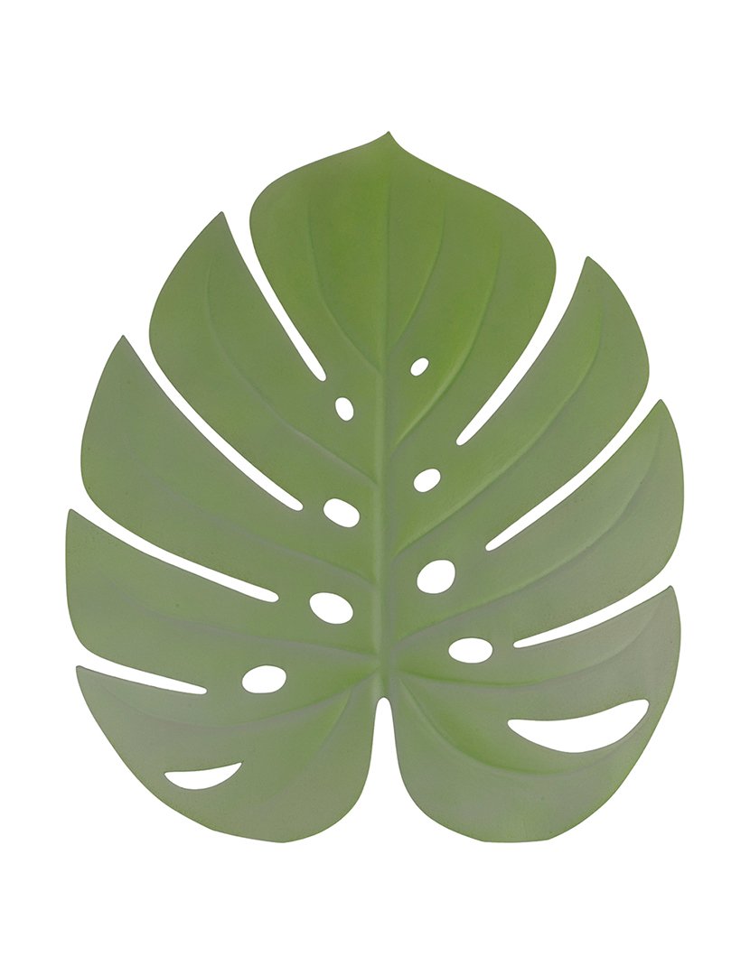 Conjunto de 6 Individuais de Mesa NEW JUNGLE Verde