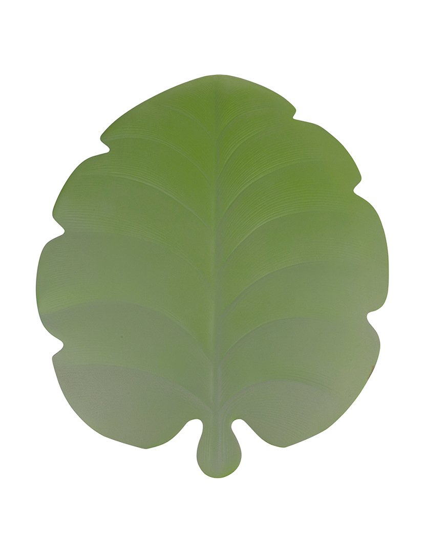 Conjunto de 6 Individuais de Mesa NEW JUNGLE Verde