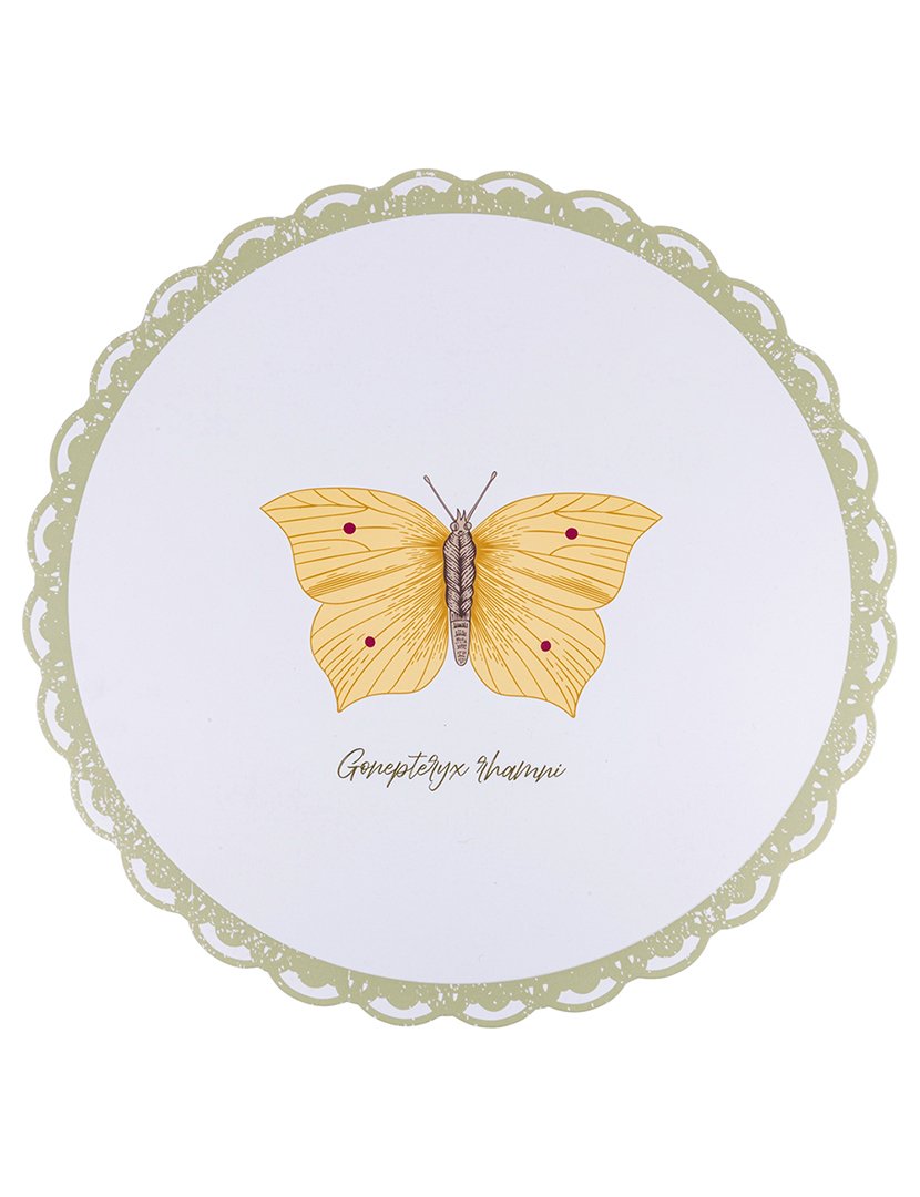 Conjunto de 6 Individuais de Mesa BOTANIST 40cm