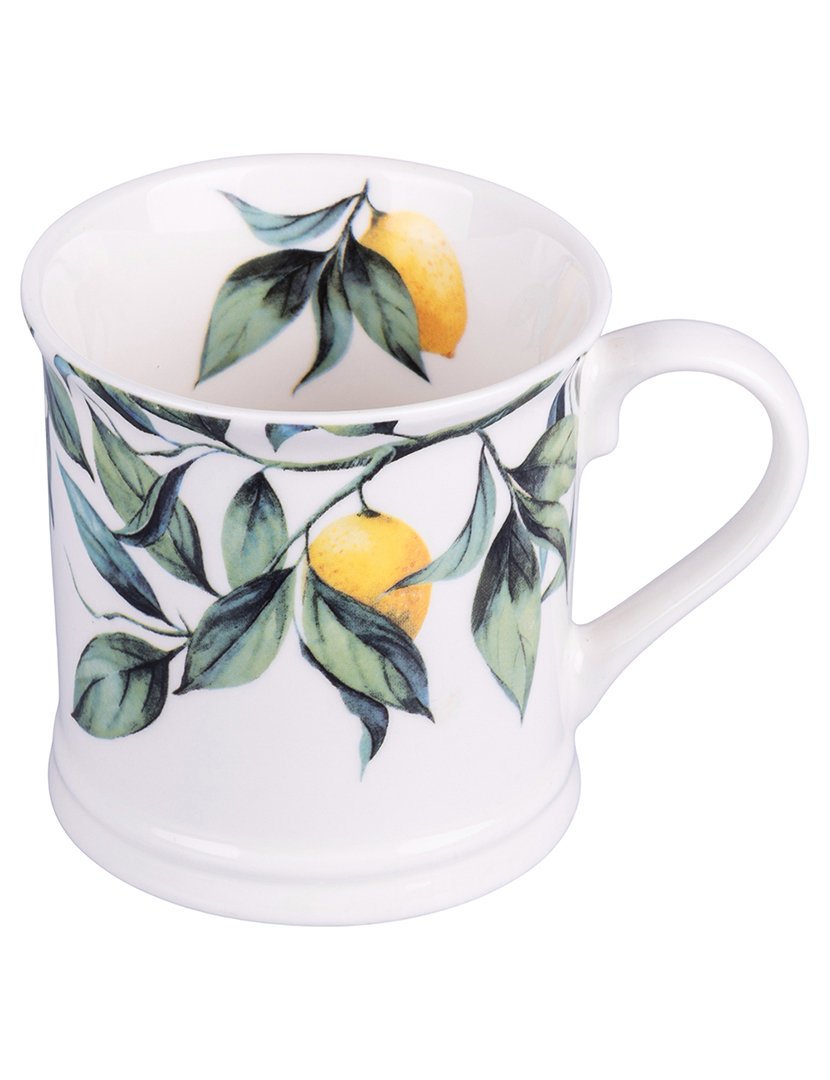 Conjunto de 4 Canecas LIMONAMI 430ml