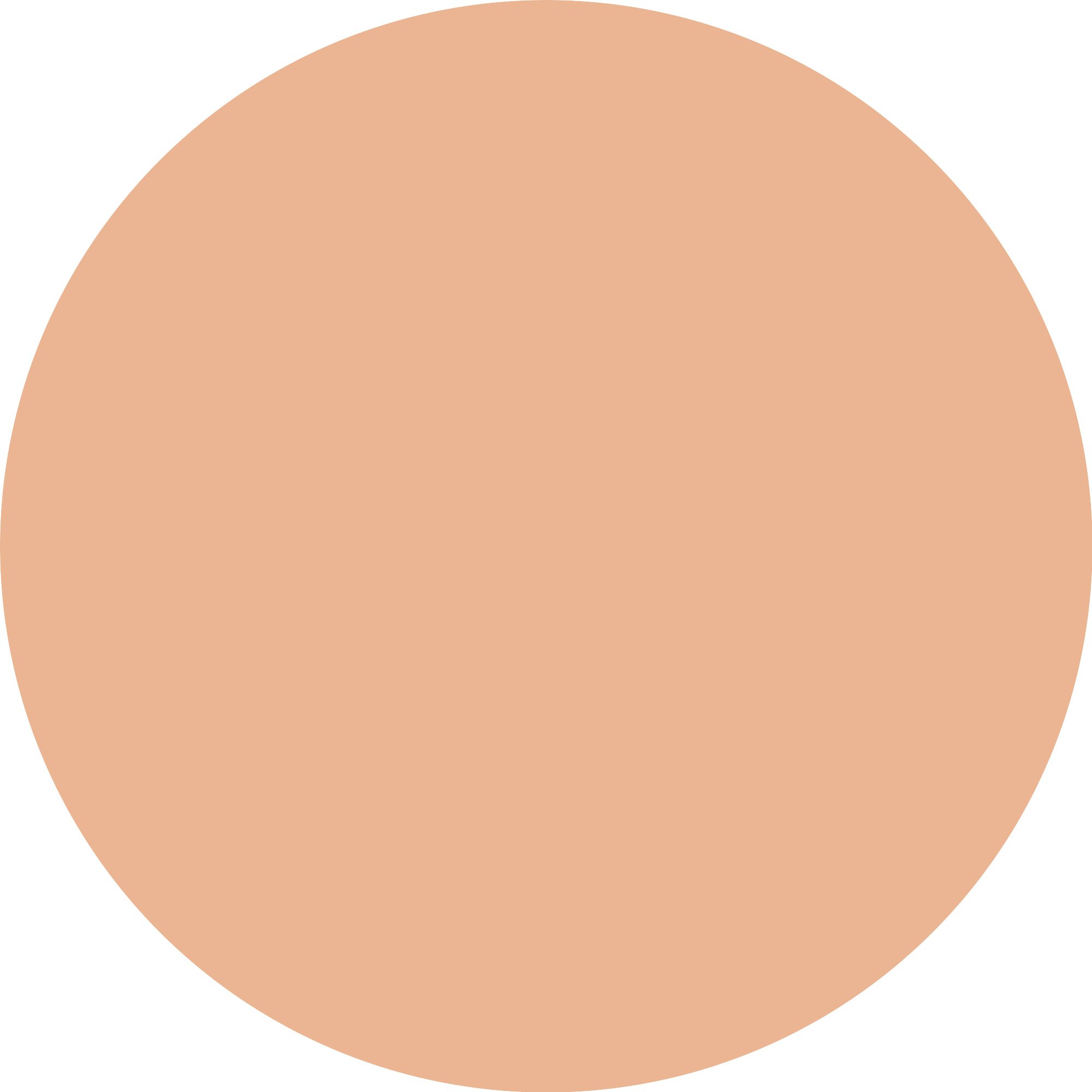 Blend & Line Eyeshadow Stick 06                     