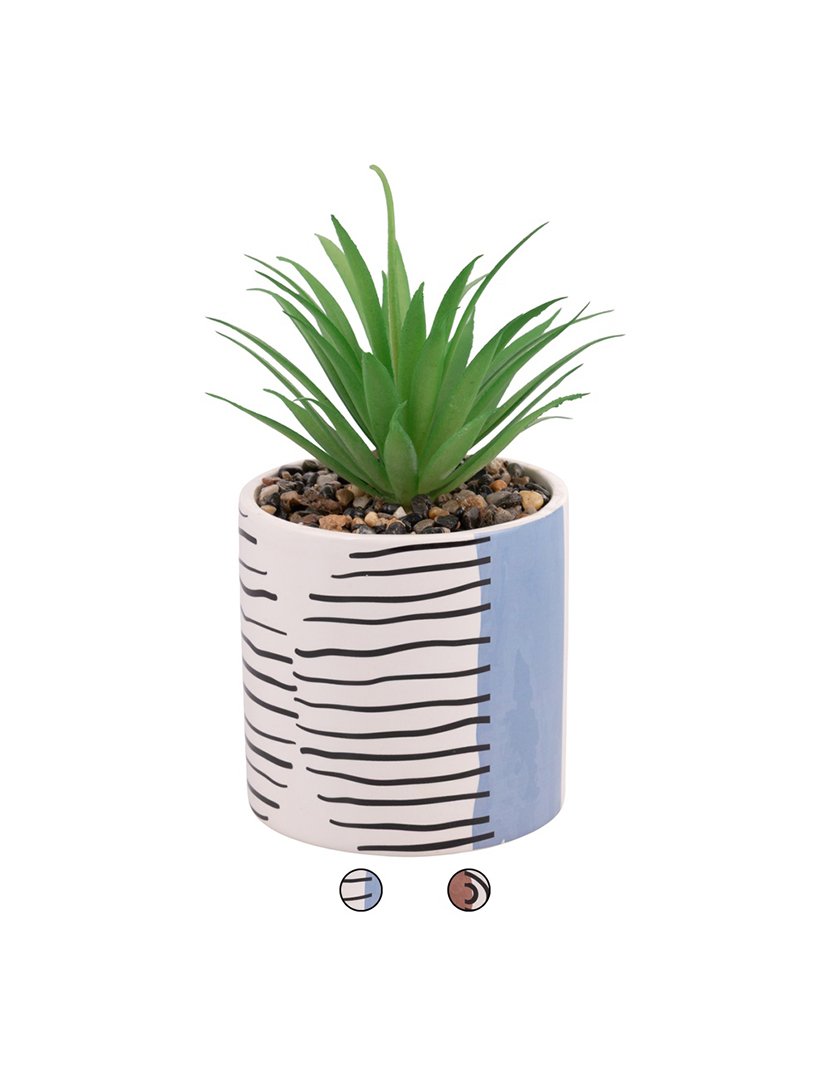 Conjunto 4 Plantas VENICE