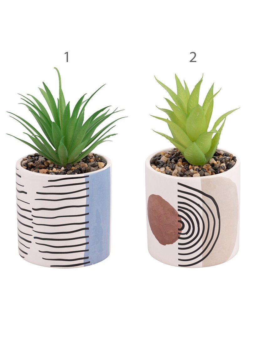 Conjunto 4 Plantas VENICE