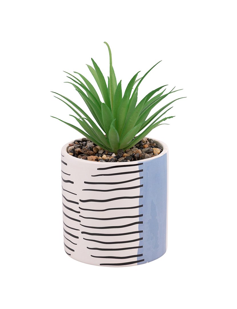 Conjunto 4 Plantas VENICE