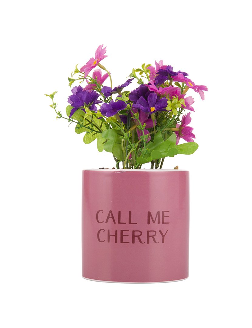 Conjunto 4 Plantas "Call Me Cherry"