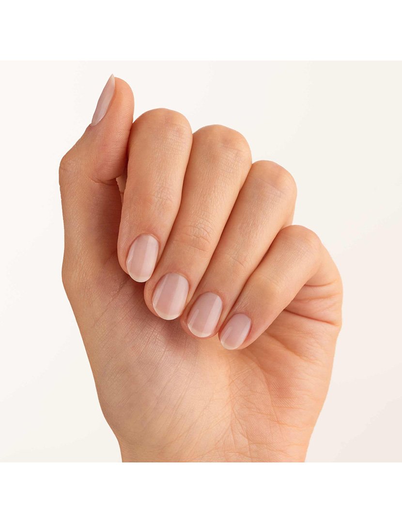 The Ridge Filler Base Coat                          