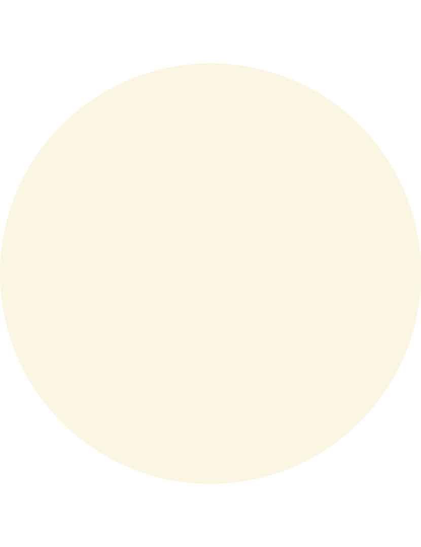 Primer THE PROTECTOR Hidratante & SPF30