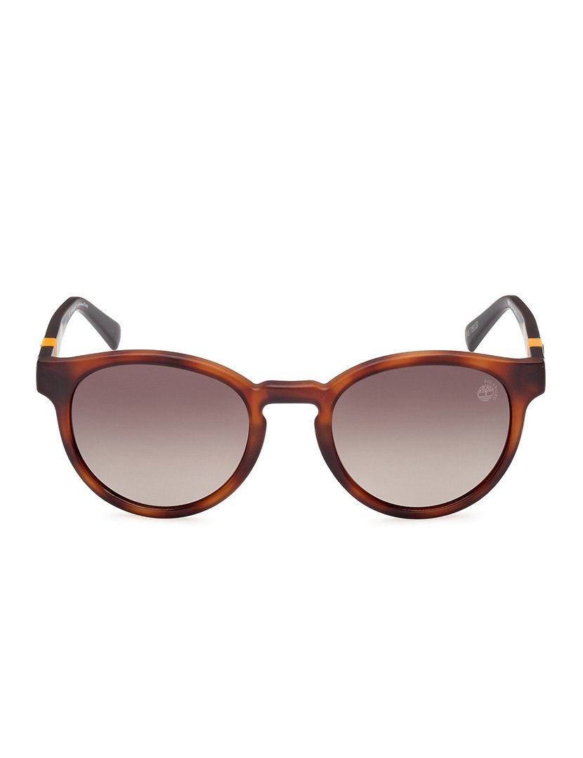 Óculos de Sol Homem Castanho