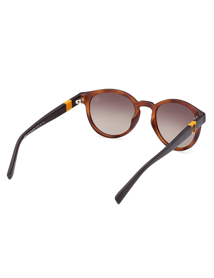 Óculos de Sol Homem Castanho