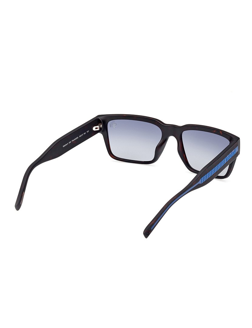 Óculos de Sol Homem Havana