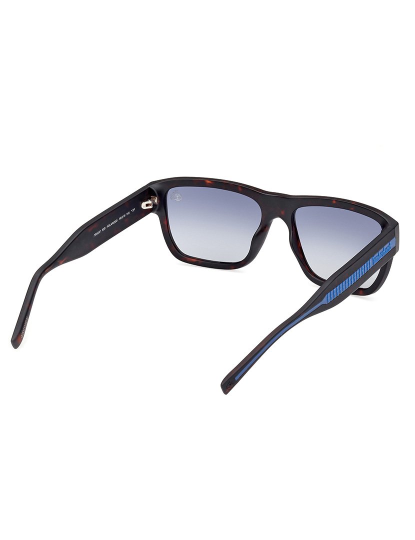 Óculos de Sol Homem Havana