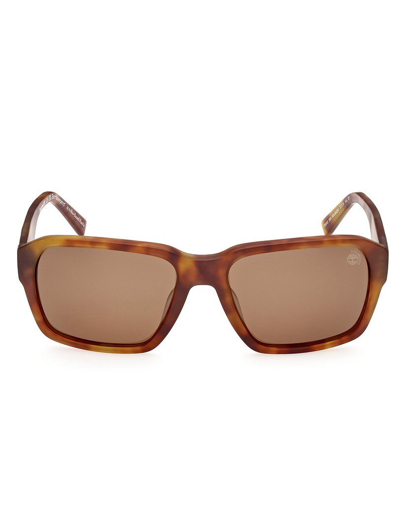 Óculos de Sol Homem TB93435753H Havana