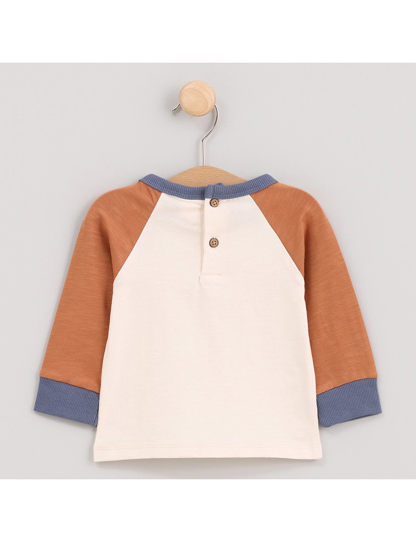 Camisola Menino Bear & Co Bege