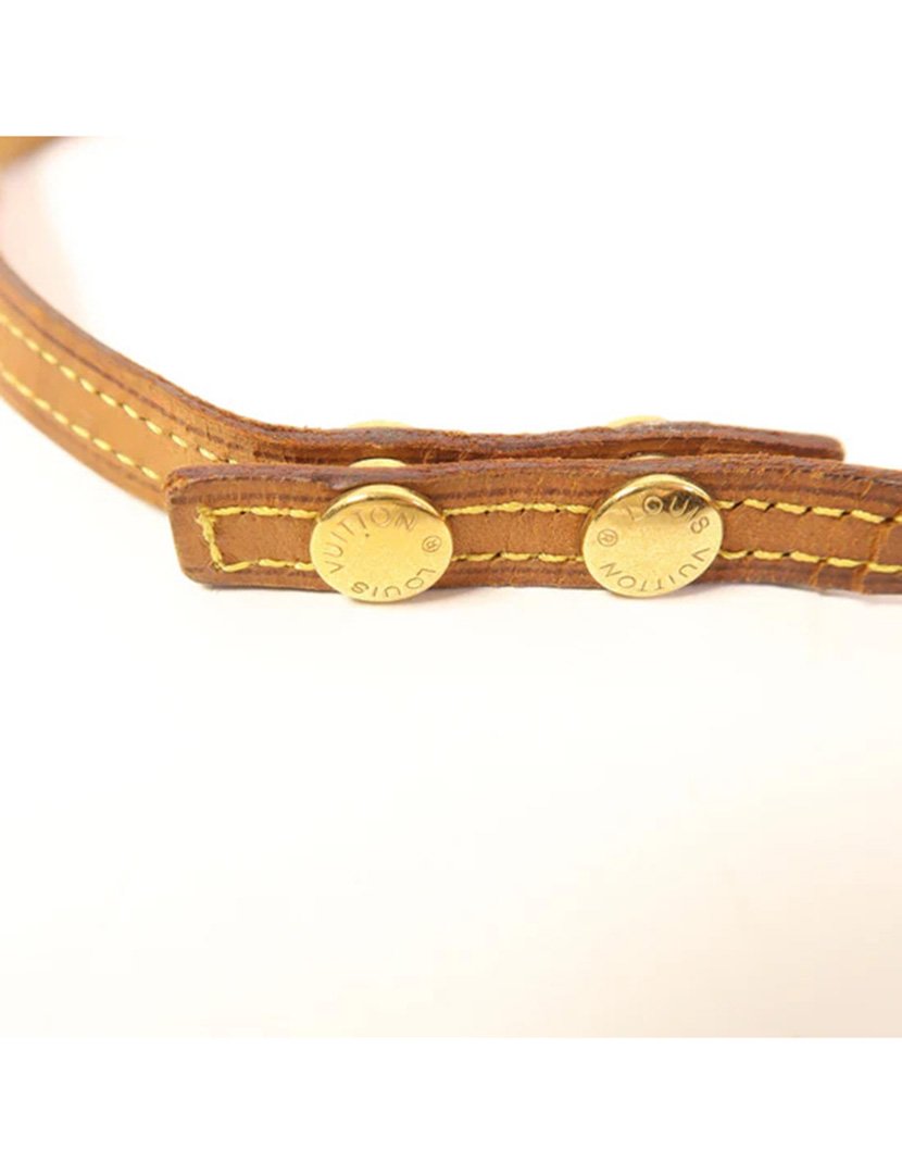 Pochette Twin GM Monogram