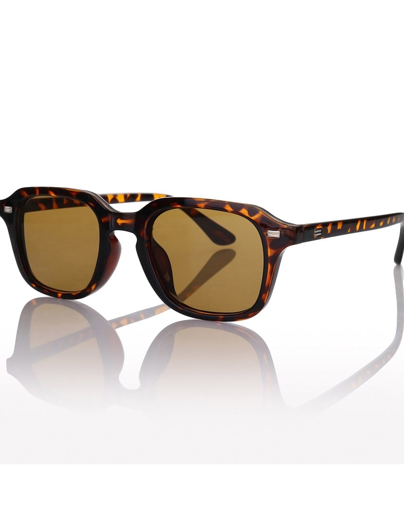 Óculos de Sol Castanhos