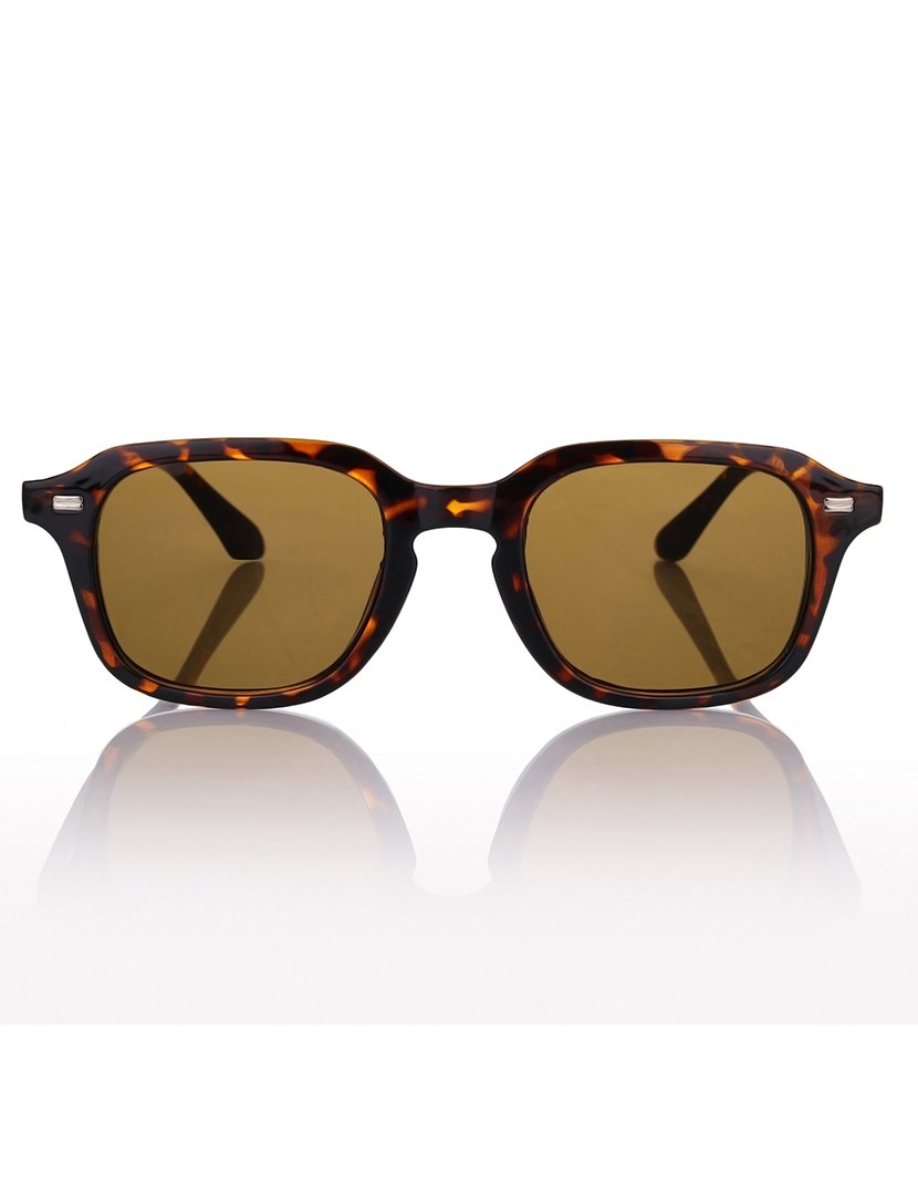 Óculos de Sol Castanhos