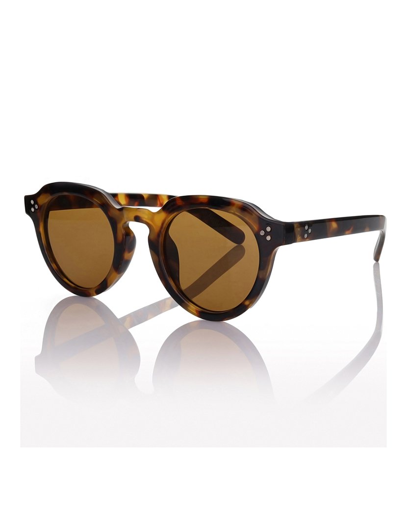 Óculos de Sol Castanhos