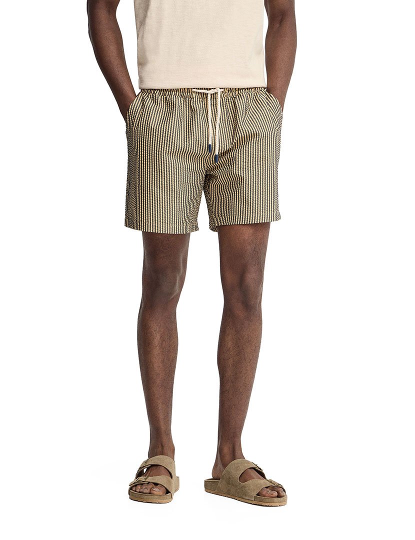 Beige Striped Swim Shorts