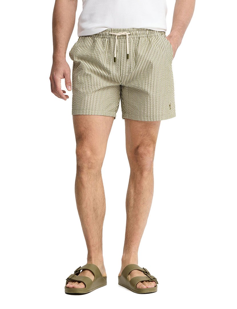 Stripe Green Swim Shorts