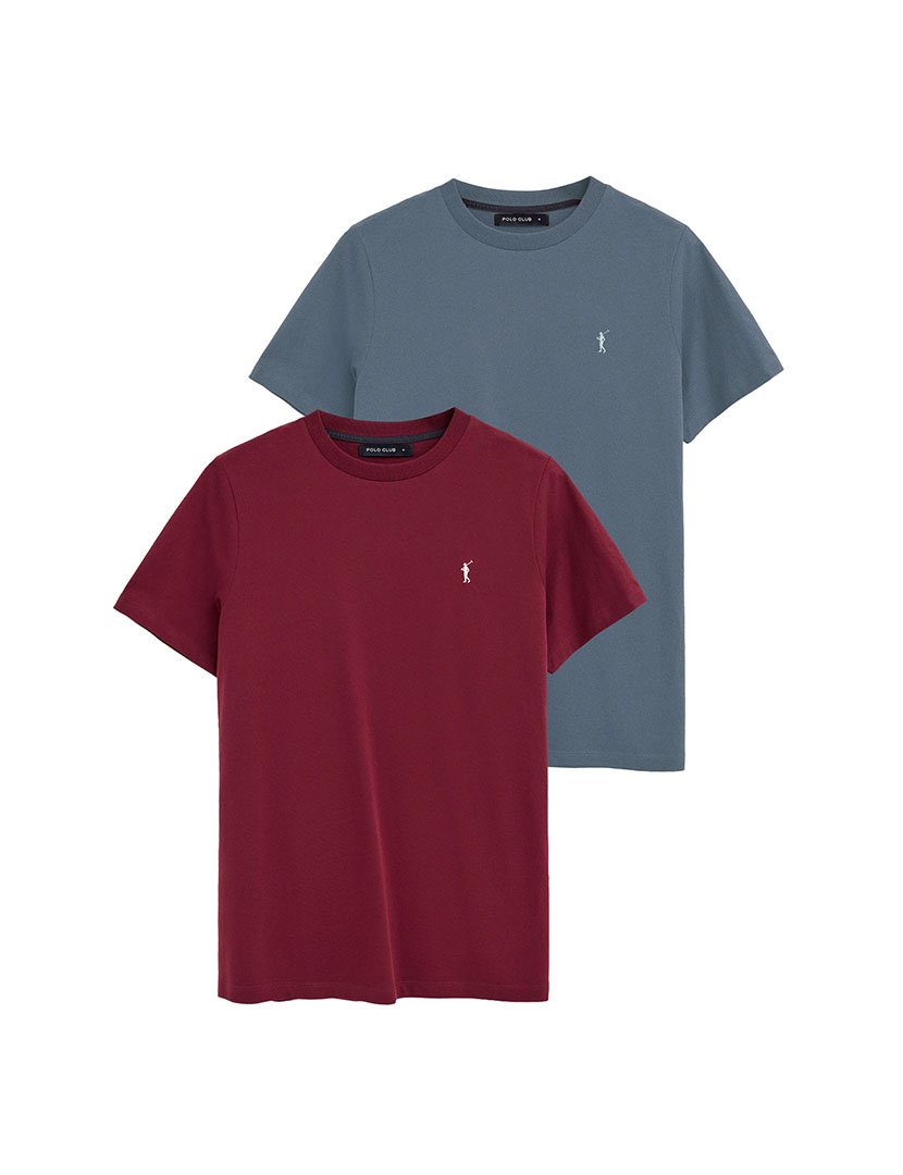 Pack 2 T-Shirts Regular Fit Multicor