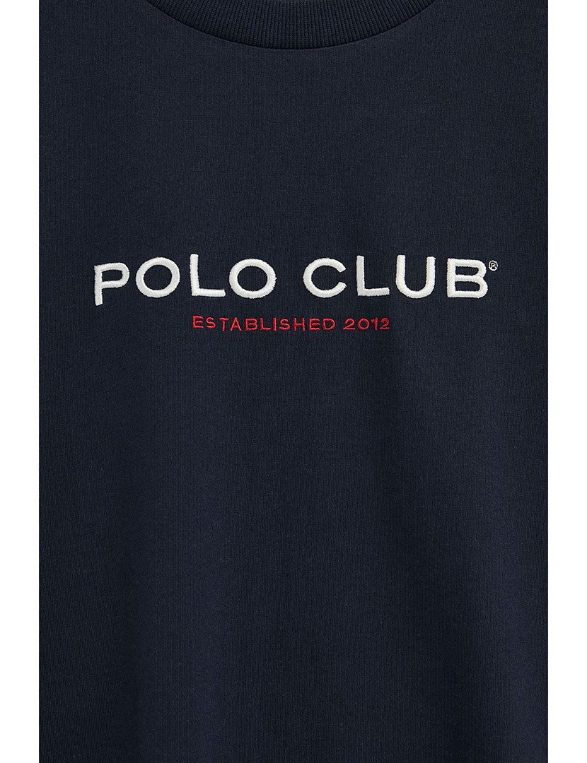 Pack 2 T-Shirts Regular Fit Multicor