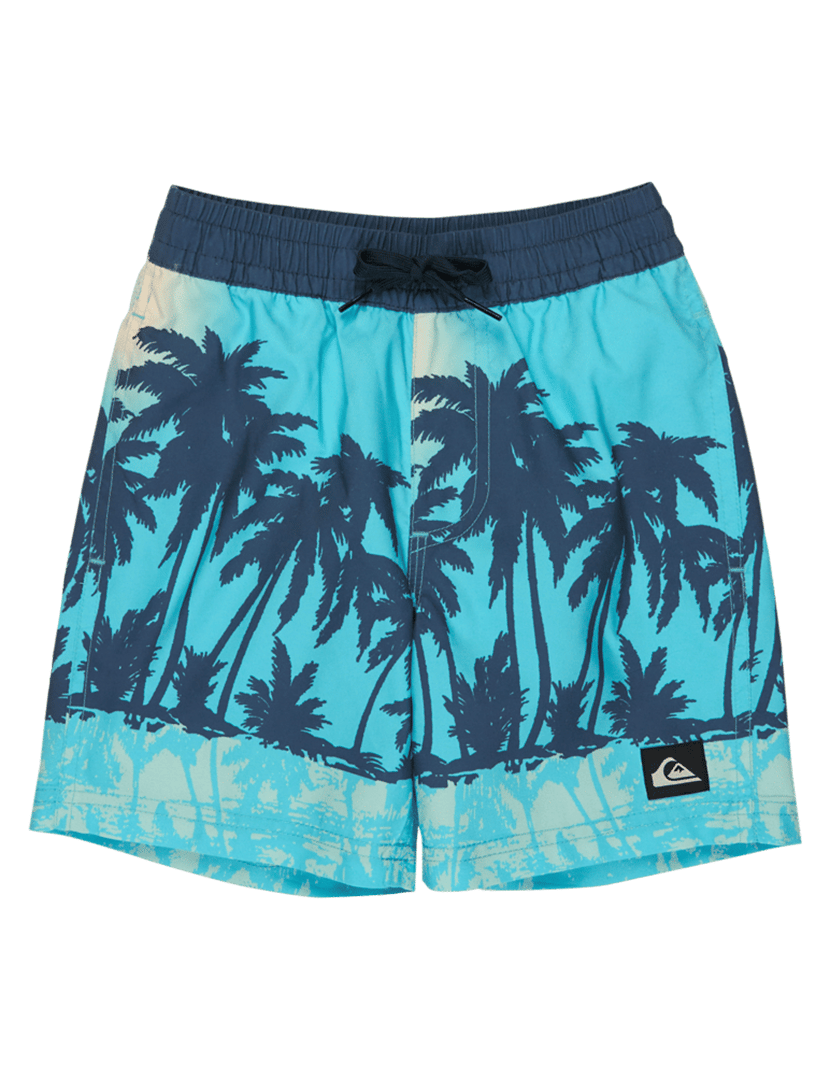 Calções de Banho Everyday Printed Volley 13 Azul