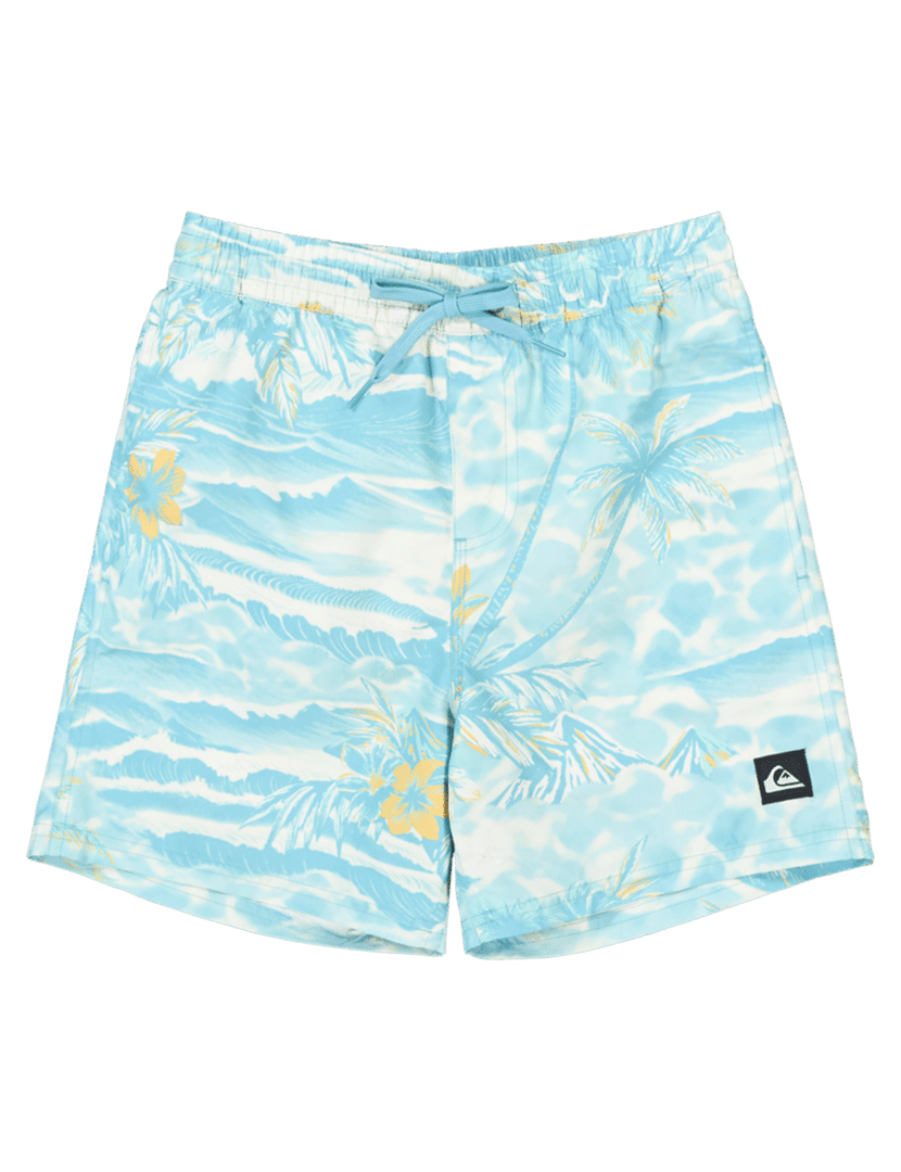 Calções de Banho Everyday Printed Volley Yth 14 Azul