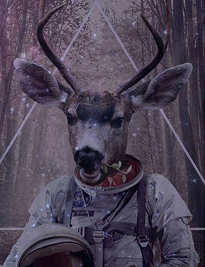 Sweatshirt Multicor Homem