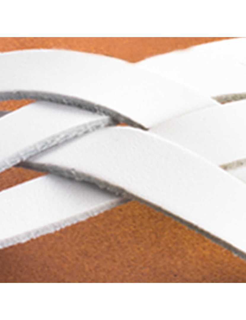 Playmobil Dragons Brutesco e Brutália