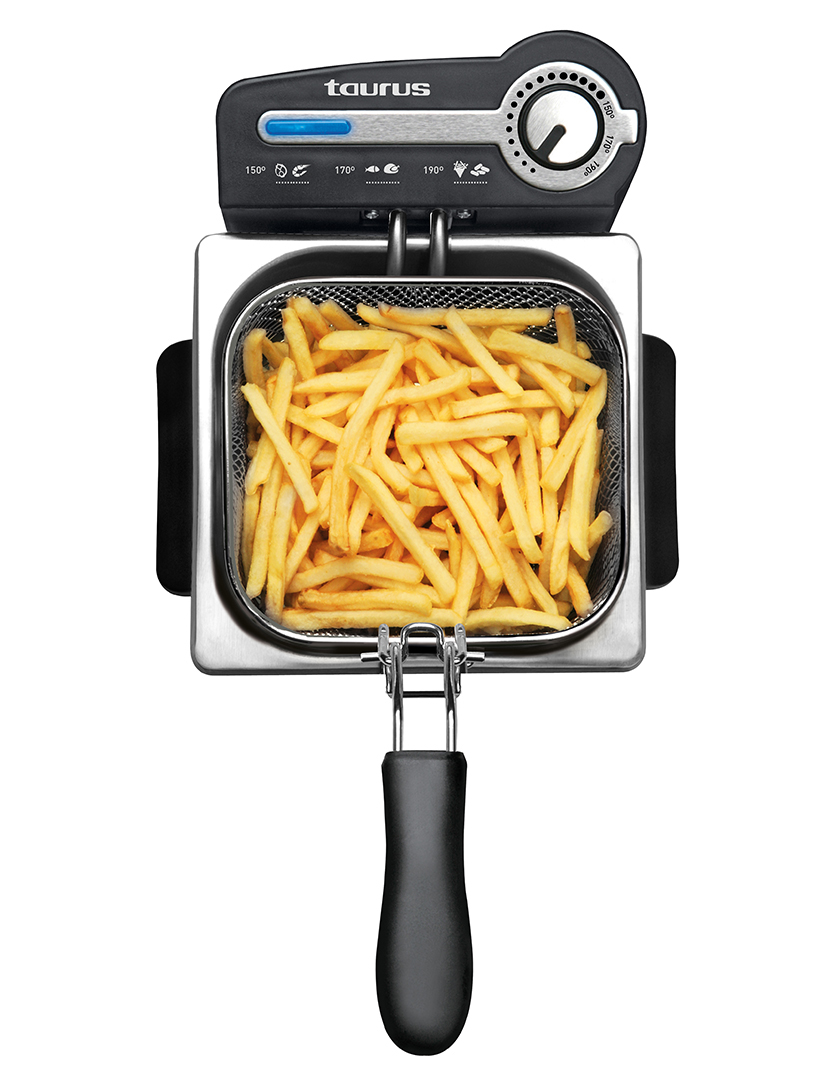 Fritadeira Professional 2 Plus